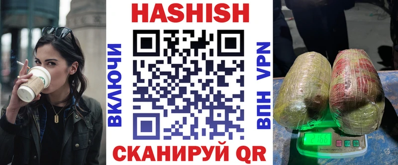 ГАШ Premium Высоцк