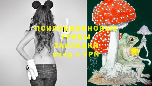 MDMA Premium VHQ Богородицк