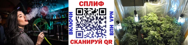 Бошки марихуана THC 21%  где купить наркоту  Высоцк 